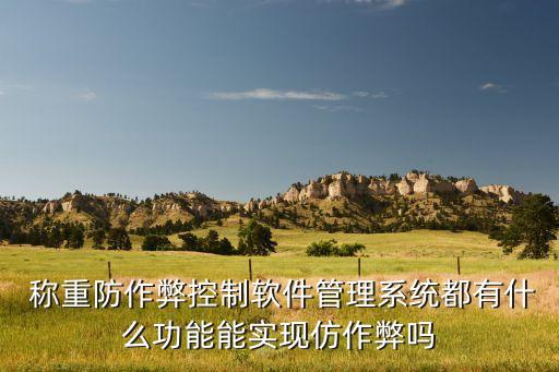  称重防作弊控制软件管理系统都有什么功能能实现仿作弊吗