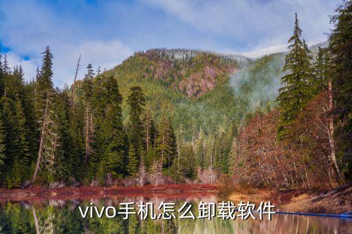 vivo不root删除系统软件,如何删除手机自带软件?