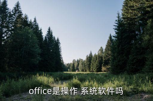 office是操作 系统软件吗