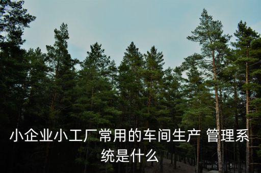 小企业小工厂常用的车间生产 管理系统是什么