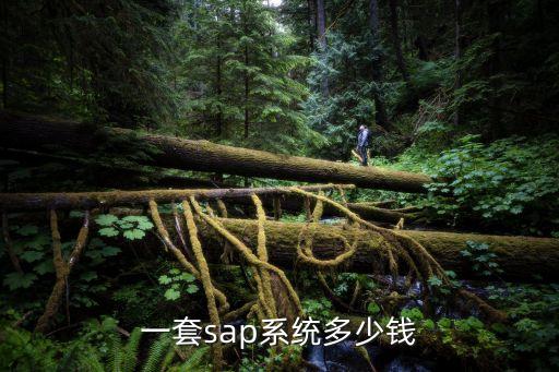 一套sap系统多少钱