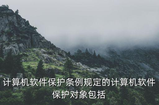 计算机软件保护条例规定的计算机软件保护对象包括