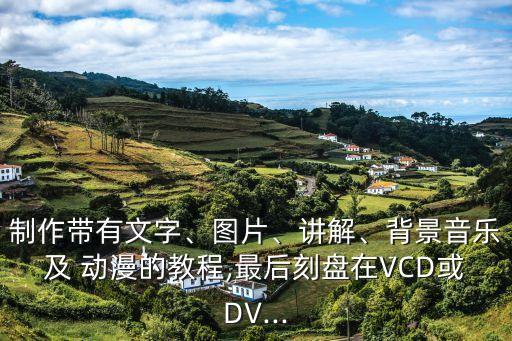 国产动漫管理系统软件下载