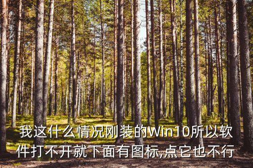 我这什么情况刚装的Win10所以软件打不开就下面有图标,点它也不行