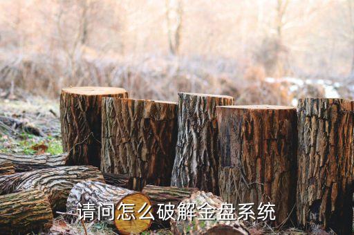 请问怎么破解金盘系统