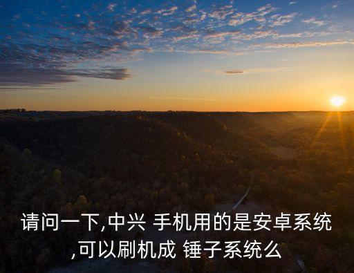 请问一下,中兴 手机用的是安卓系统,可以刷机成 锤子系统么