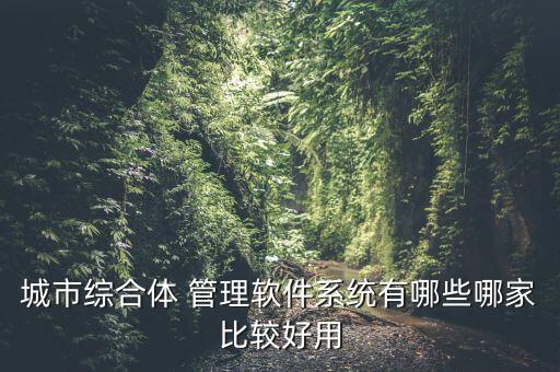 城市综合体 管理软件系统有哪些哪家比较好用