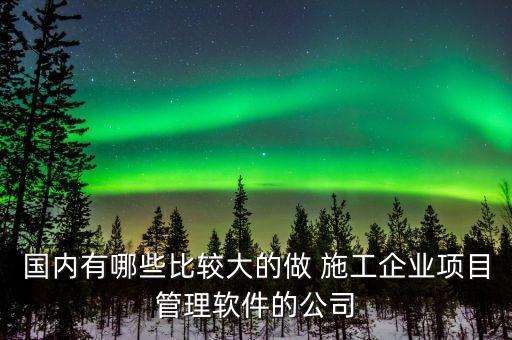 国内有哪些比较大的做 施工企业项目管理软件的公司