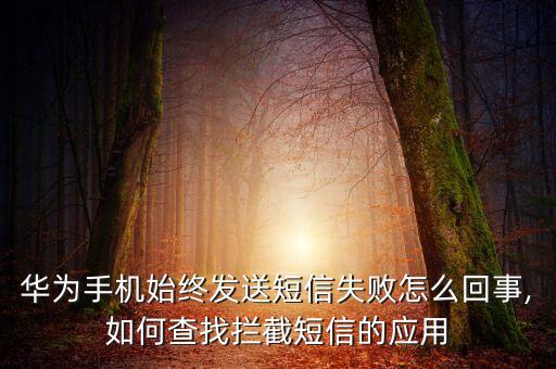 华为手机始终发送短信失败怎么回事,如何查找拦截短信的应用