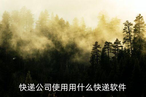 物流系统软件叫什么,物流系统软件包括哪些?