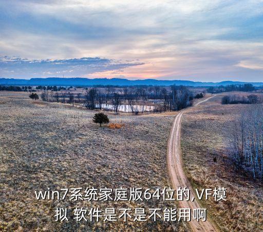 win7系统家庭版64位的,VF模拟 软件是不是不能用啊