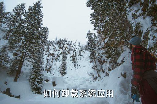 如何卸载系统应用