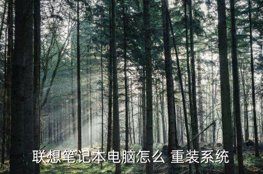 重装系统软件图文,怎么用pe重装系统?步骤教程!
