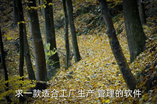求一款适合工厂生产 管理的软件