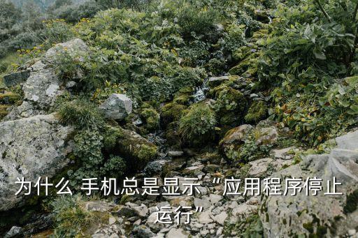 为什么 手机总是显示“应用程序停止运行”