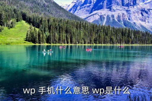  wp 手机什么意思 wp是什么