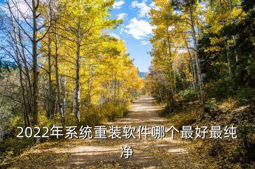 2022年系统重装软件哪个最好最纯净