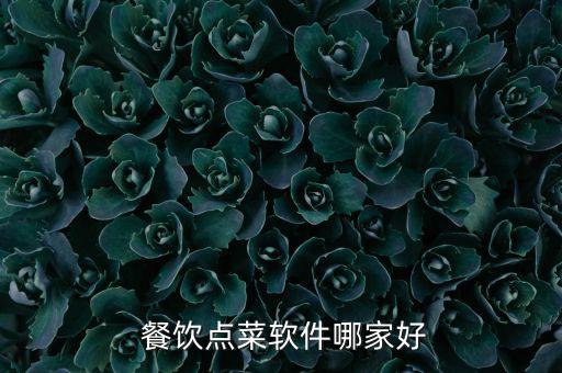  餐饮点菜软件哪家好