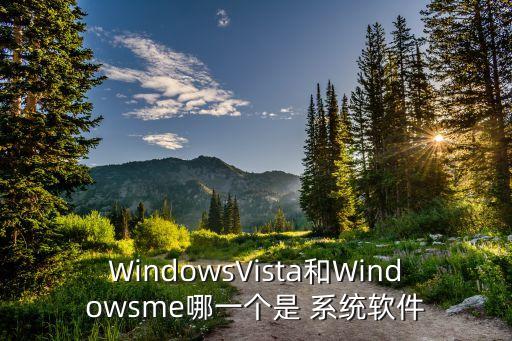 专用系统软件,华为变iphone系统软件