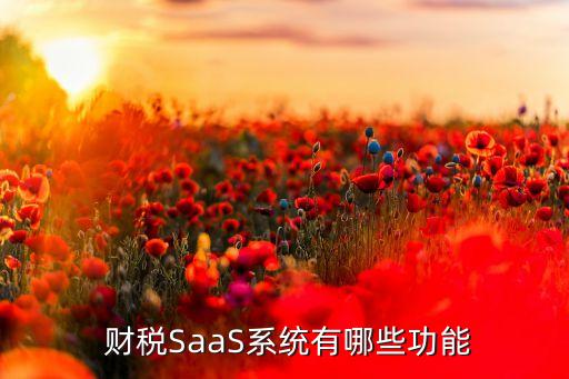  财税SaaS系统有哪些功能