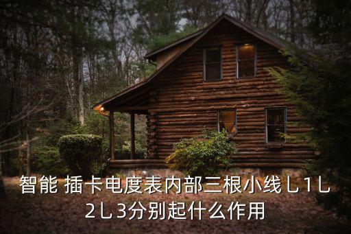 智能 插卡电度表内部三根小线乚1乚2乚3分别起什么作用