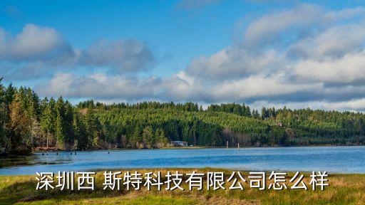 西斯特系统软件,《卡夫马卡》和《西斯特》搏击术你知道什么?