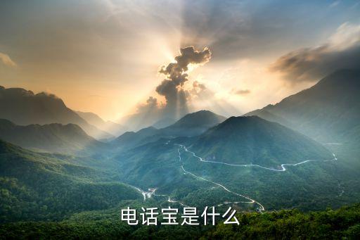 湖北话务系统软件,电话宝软件帮助你建立完美电话管理体系