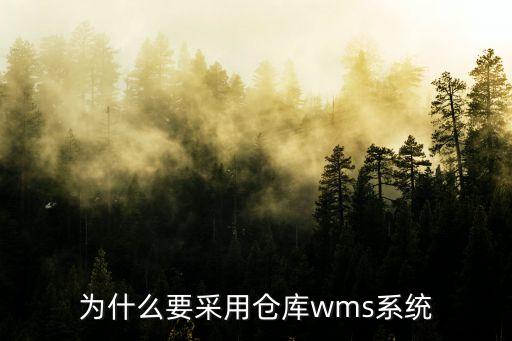 为什么要采用仓库wms系统