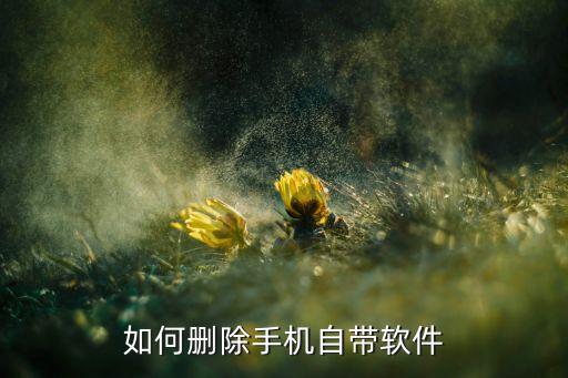 g9300系统软件卸载