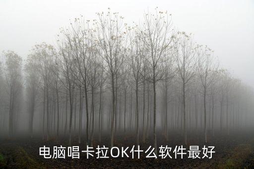 电脑唱卡拉OK什么软件最好