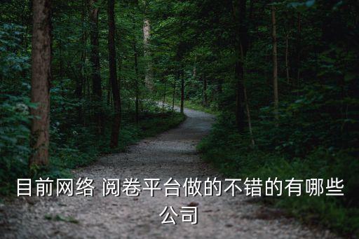 目前网络 阅卷平台做的不错的有哪些公司
