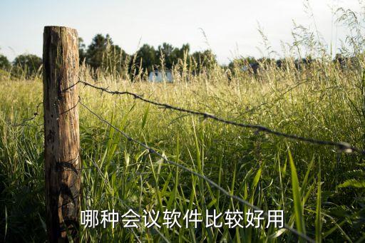哪种会议软件比较好用