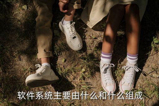 系统软件系统一般包括,计算机的软件系统包括系统软件和( )