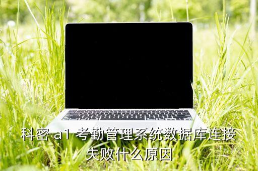 科密 a1 考勤管理系统数据库连接失败什么原因