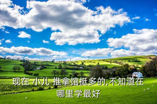 现在 小儿 推拿馆挺多的,不知道在哪里学最好
