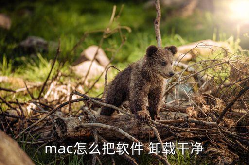 mac怎么把软件 卸载干净