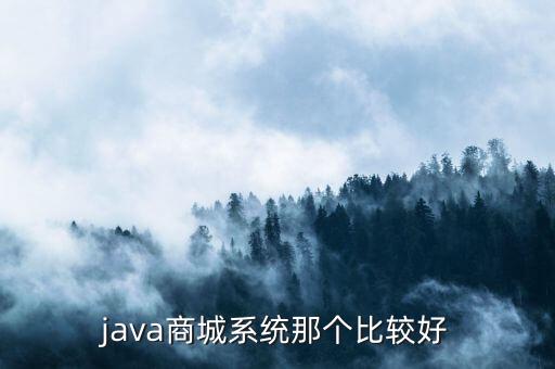 java商城系统那个比较好