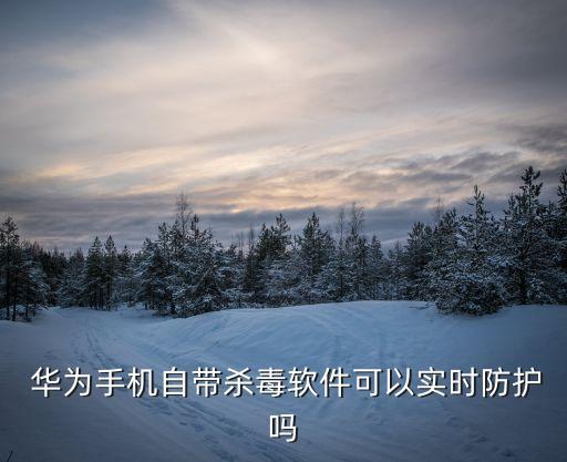  华为手机自带杀毒软件可以实时防护吗