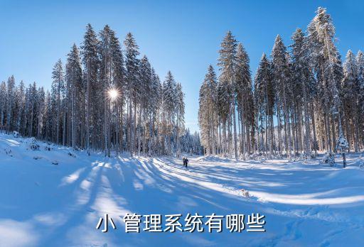 免费学生管理系统软件,学生学籍管理系统属于基础软件吗