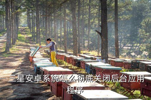  三星安卓系统怎么彻底关闭后台应用程序