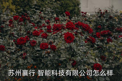 苏州襄行 智能科技有限公司怎么样