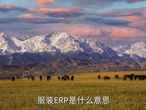  服装ERP是什么意思