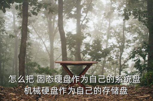 怎么把 固态硬盘作为自己的系统盘 机械硬盘作为自己的存储盘
