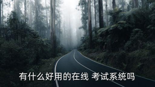 有什么好用的在线 考试系统吗