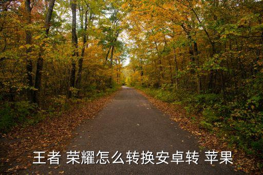  王者 荣耀怎么转换安卓转 苹果