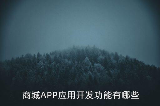 商城管理系统软件结构包括,电子商务整体结构有哪几个部分?