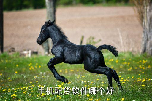 手机配货软件哪个好