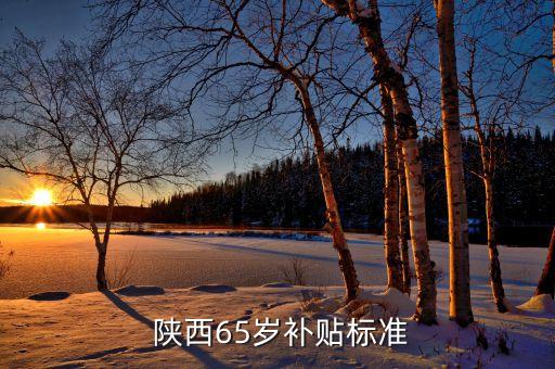 陕西开票系统软件,浙江省电子税务开票系统软件