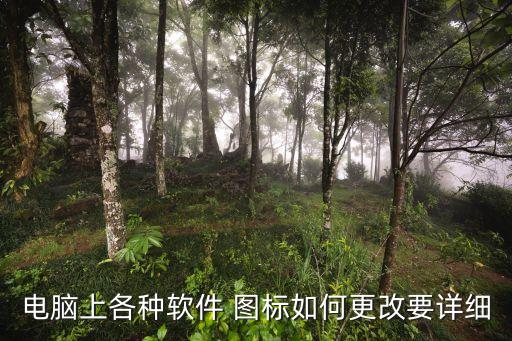 电脑上各种软件 图标如何更改要详细