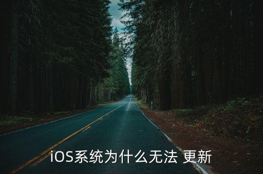 苹果设置系统软件更新不了,为什么苹果手机设置软件更新显示不了新系统?